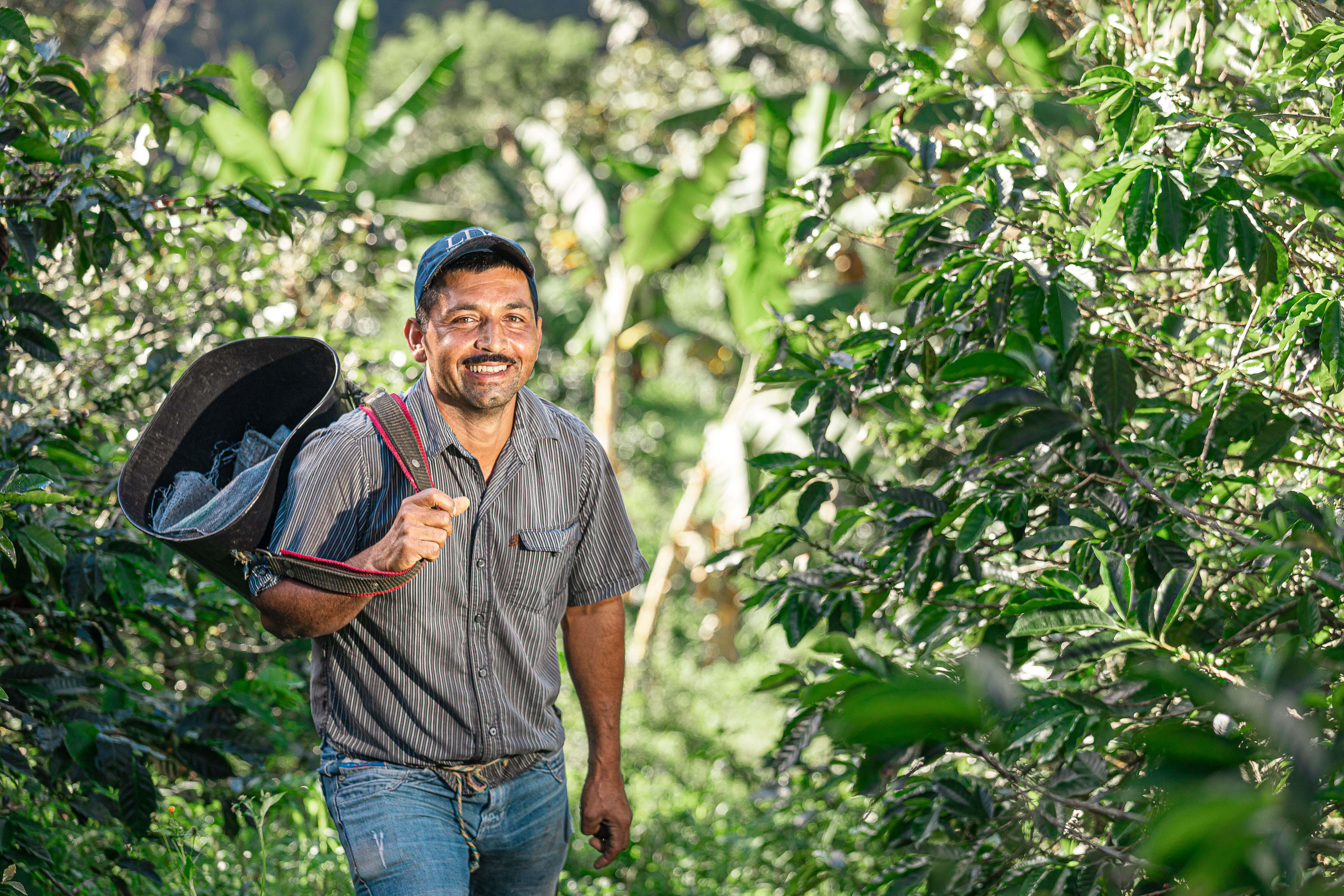 Coffee-blending-6-tinified