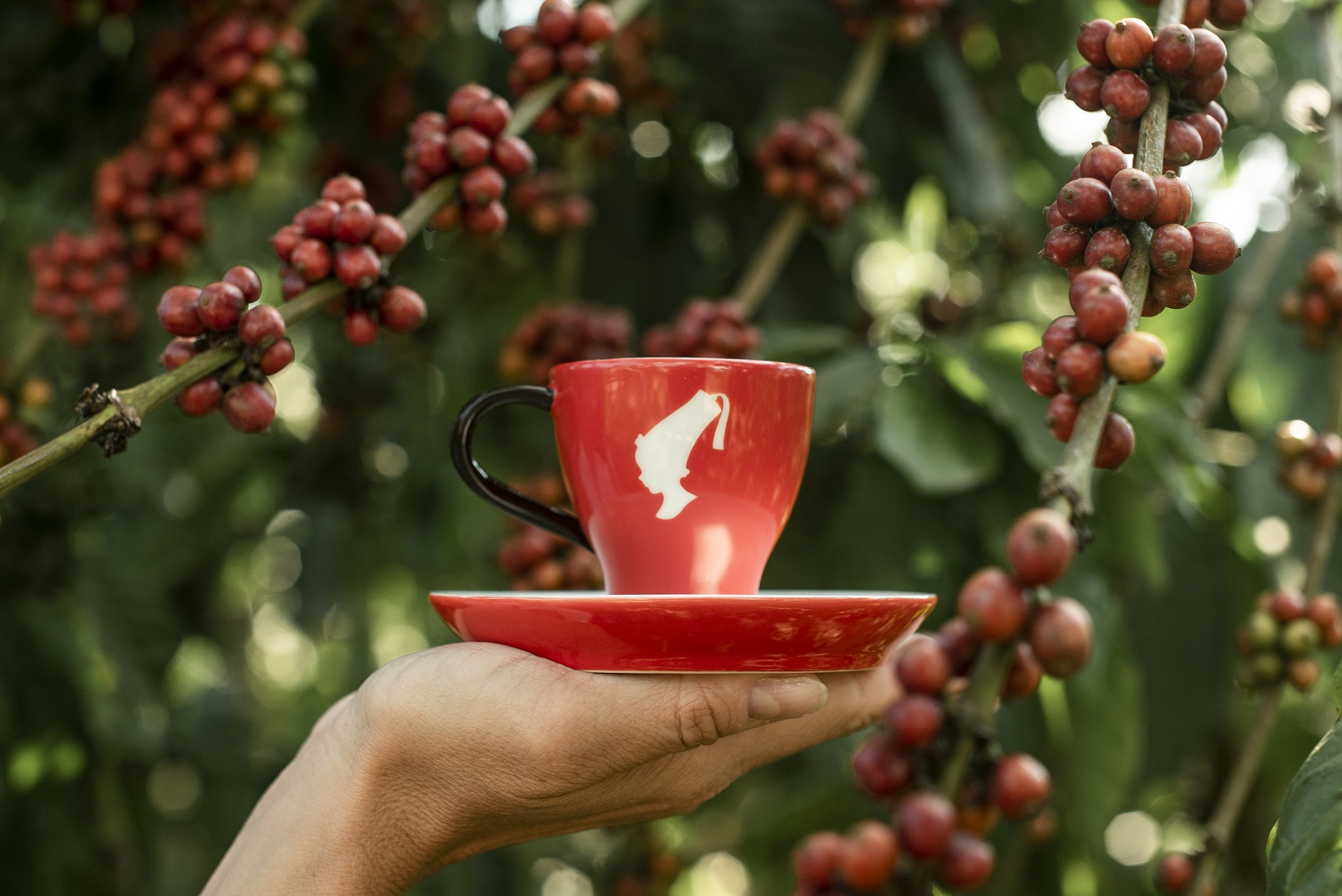 1-Our-Responsibly-Selected-Coffee_LARGE